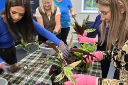 Team collaborating on charity living wall team building activity